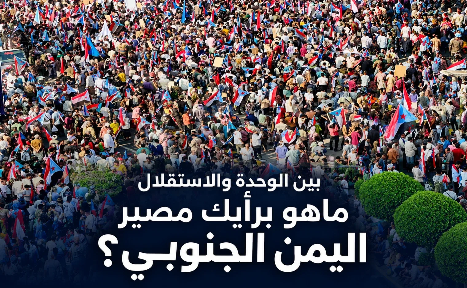 تقرير خاص